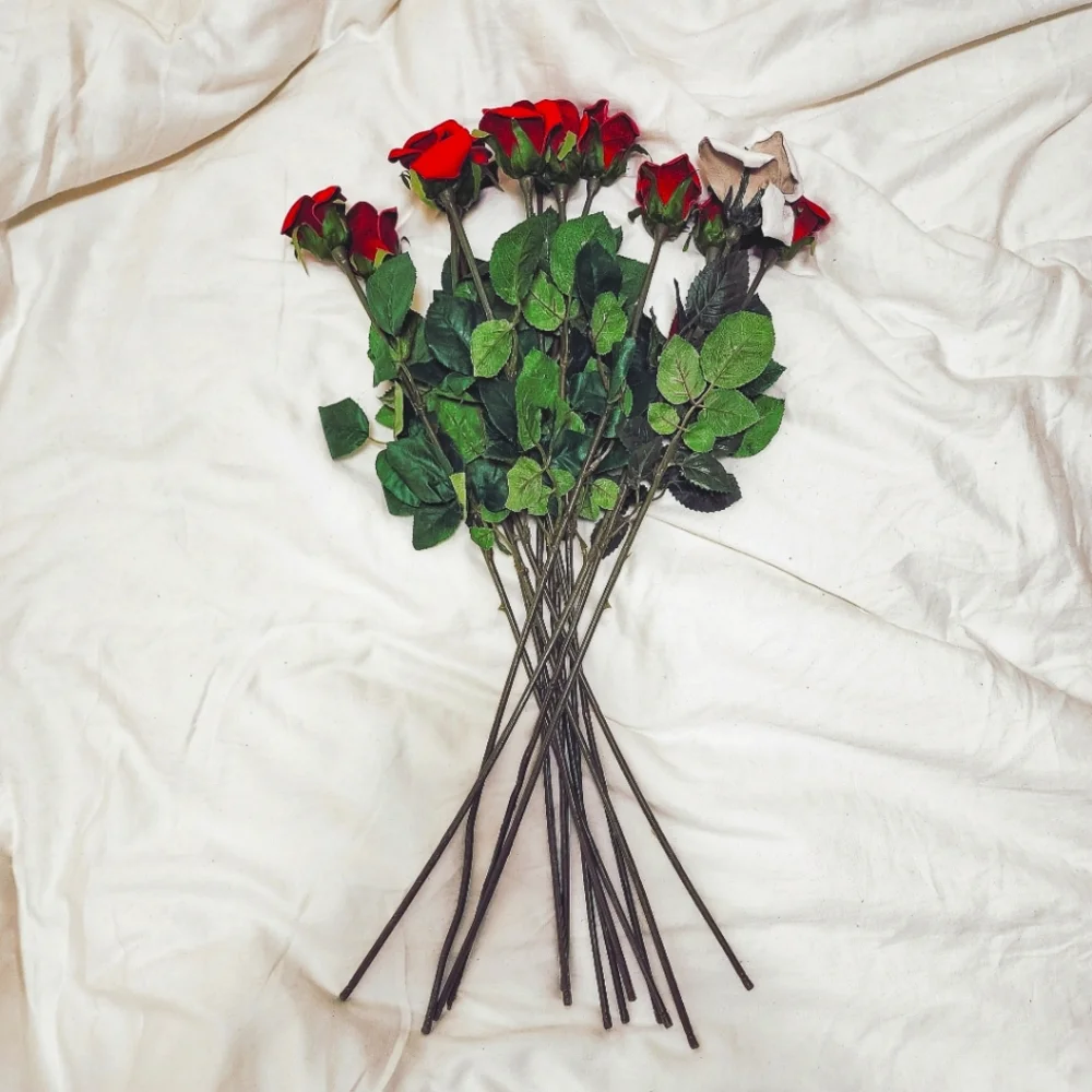 Leather Roses - Picture 1 of 4